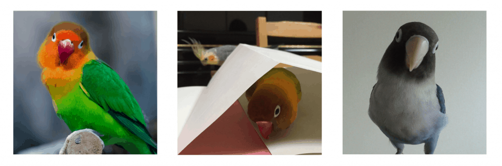 インコ　病気