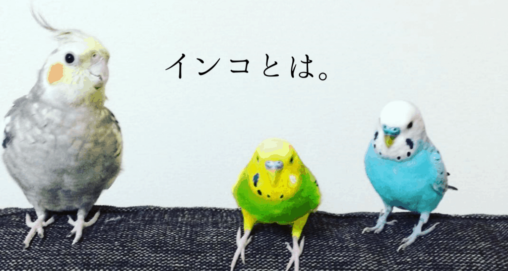 凡才経理の鳥祭り インコの魅力たっぷしお伝えします Planner プランナー クリエイティブの壺ツボ