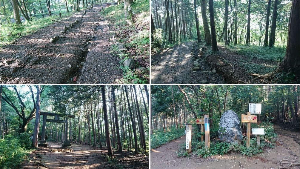 飯能 T登山