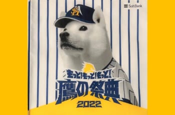 鷹の祭典 2022 in 東京ドームに行ってみた